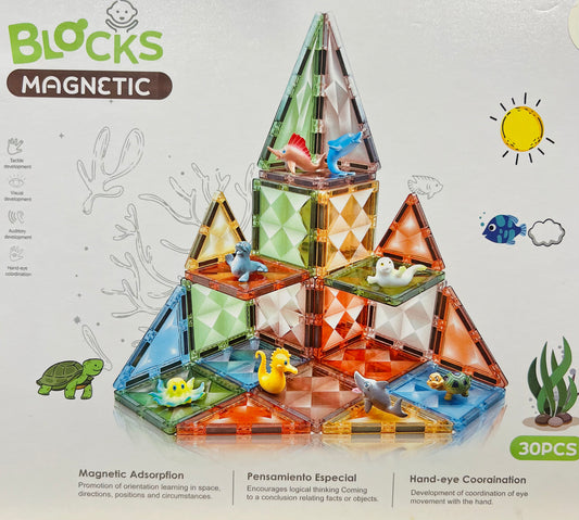 Blocks Magnetic Set